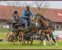 2POSIEUX 0353
